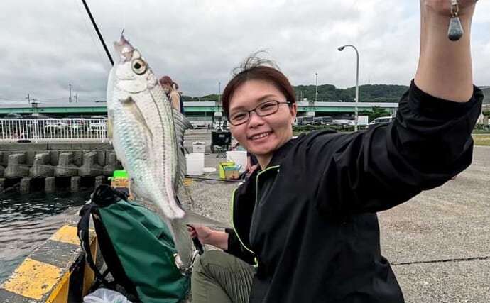 大磯港の五目釣りでクロサギやアイゴをキャッチ【神奈川】夫婦でのんびり港グルメも満喫