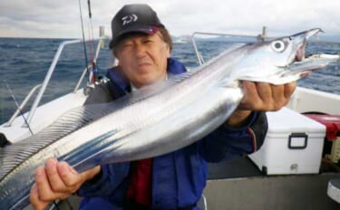 【沖釣り釣果速報】大分沖のテンヤタチウオ釣りでドラゴン級や神龍サイズ続…