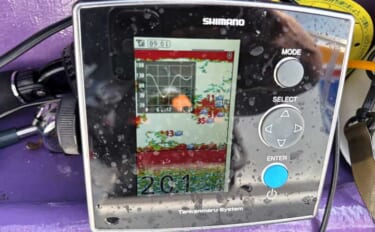 「下限は厳守で上限は目安！」シマアジ釣りにおける【指示ダナ】の考え方と…