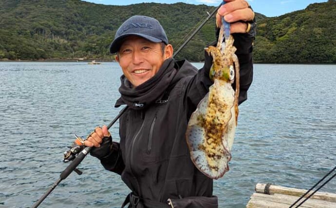 迫間浦のイカダ釣行でエギングと五目釣りを1日で満喫！【三重】アオリ8匹＆アジ25匹の好釣果