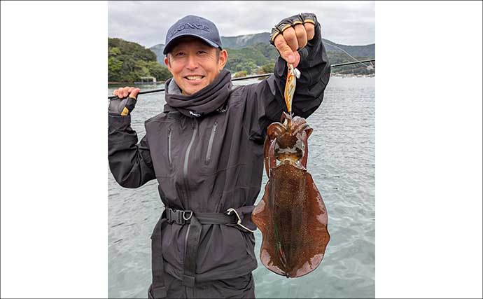 迫間浦のイカダ釣行でエギングと五目釣りを1日で満喫！【三重】アオリ8匹＆アジ25匹の好釣果