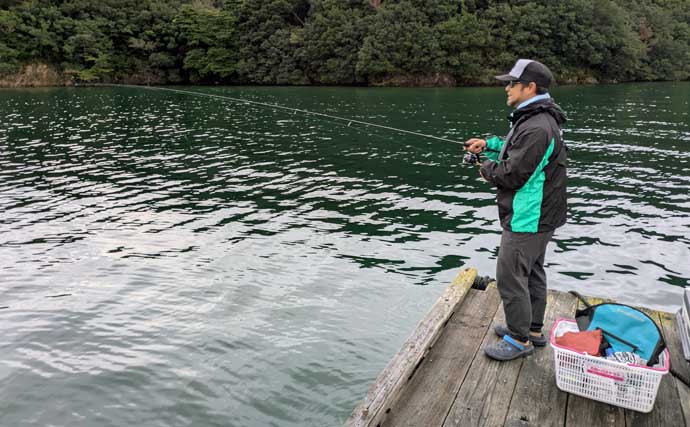 迫間浦のイカダ釣行でエギングと五目釣りを1日で満喫！【三重】アオリ8匹＆アジ25匹の好釣果