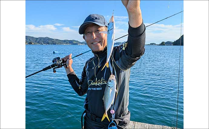 迫間浦のイカダ釣行でエギングと五目釣りを1日で満喫！【三重】アオリ8匹＆アジ25匹の好釣果