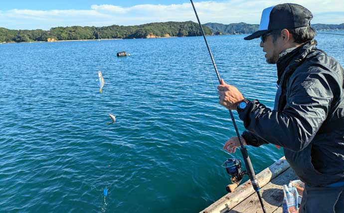 迫間浦のイカダ釣行でエギングと五目釣りを1日で満喫！【三重】アオリ8匹＆アジ25匹の好釣果