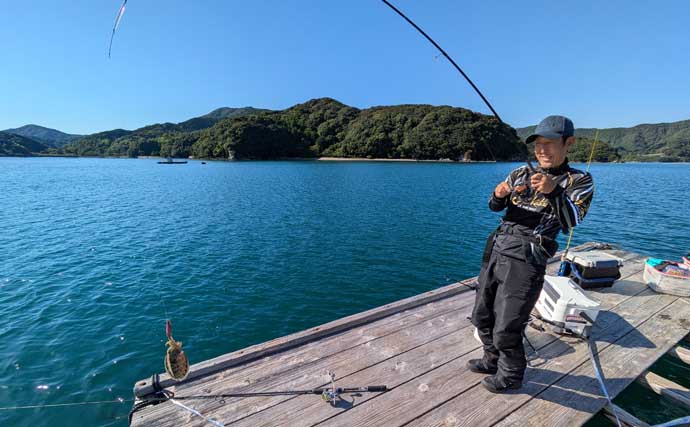 迫間浦のイカダ釣行でエギングと五目釣りを1日で満喫！【三重】アオリ8匹＆アジ25匹の好釣果