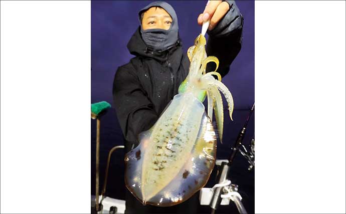 【沖釣り釣果速報】竿頭は24匹！越前沖のナイトティップランで良型交じりにアオリイカ爆釣（北陸）