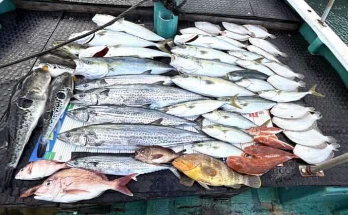 【沖のルアー釣果速報】鳥羽沖のキャスティングゲームでサワラ93cm含む青物が大連発！（三重）