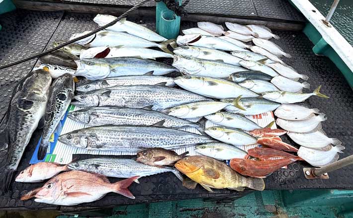 沖のルアー釣果速報】鳥羽沖のキャスティングゲームでサワラ93cm含む