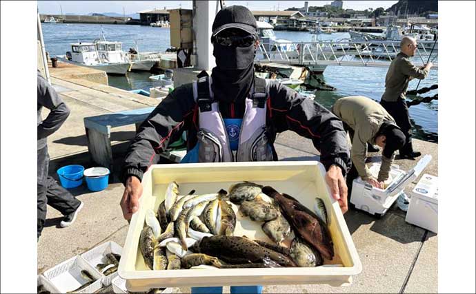 伊良湖沖のカットウ釣りで良型ヒガンフグ＆カワハギ続々【愛知】船宿の身欠き処理で持ち帰りも安心