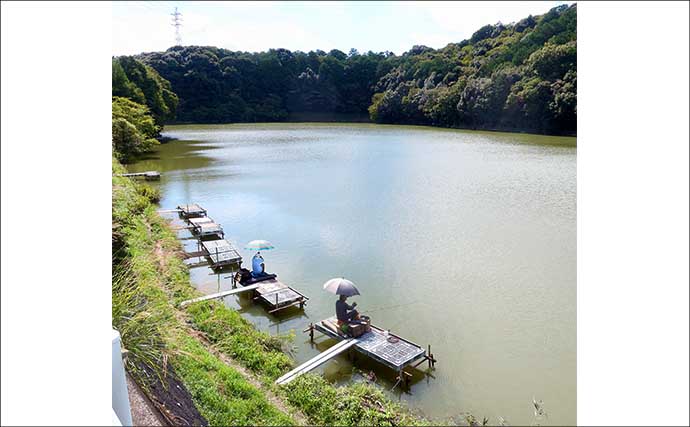 今週のヘラブナ推薦釣り場2025【静岡・西の谷池】