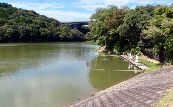 今週のヘラブナ推薦釣り場2025【静岡・西の谷池】