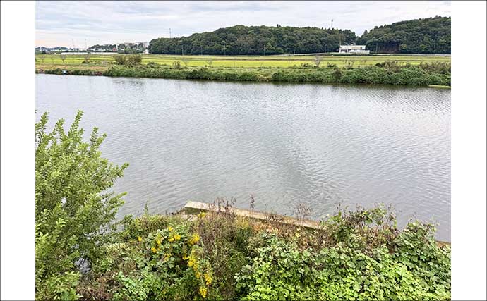 吉田康雄のザ・チャレンジへらぶな【川ベラでも狙ってみますか！#1】