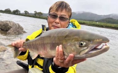 シロサケ有効利用調査に参加してみた【新潟・荒川】釣り人4人で8尾の本命…