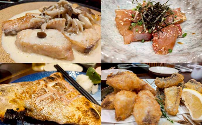 下関「Catch＆Eat」イベントで釣って食べる最高の1日！【山口】カサゴ・アコウ・フエダイなど多彩にヒット