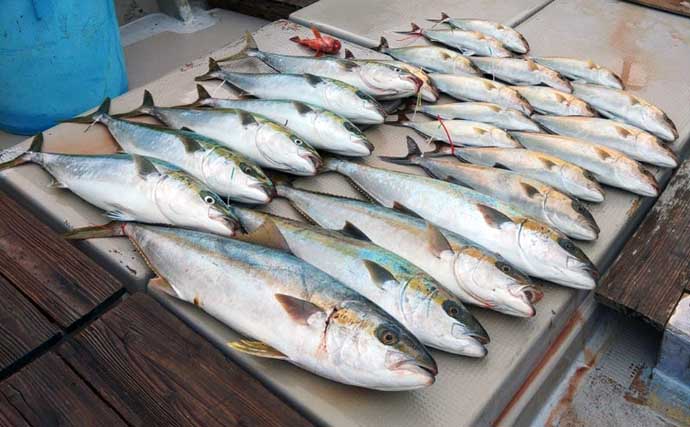 【沖釣り釣果速報】ヒラマサがドーン！平戸沖のジギング＆キャスティングで20kg超え浮上（長崎・佐賀）