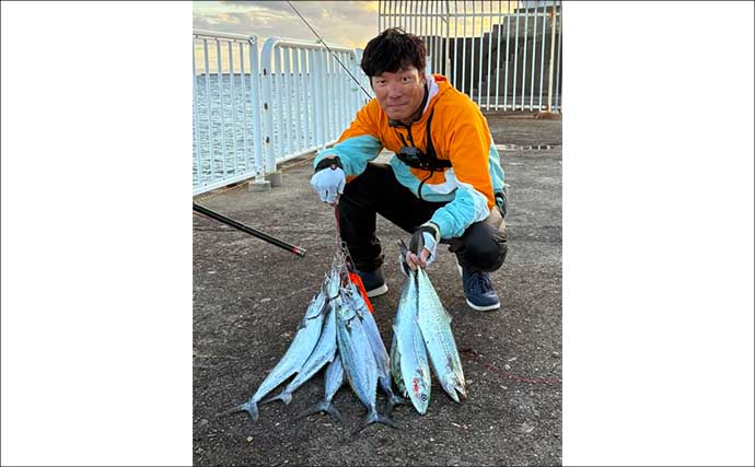 午後の時合いにサゴシ5連発！【大阪南港魚つり園】メタルジグ速巻きに好反応