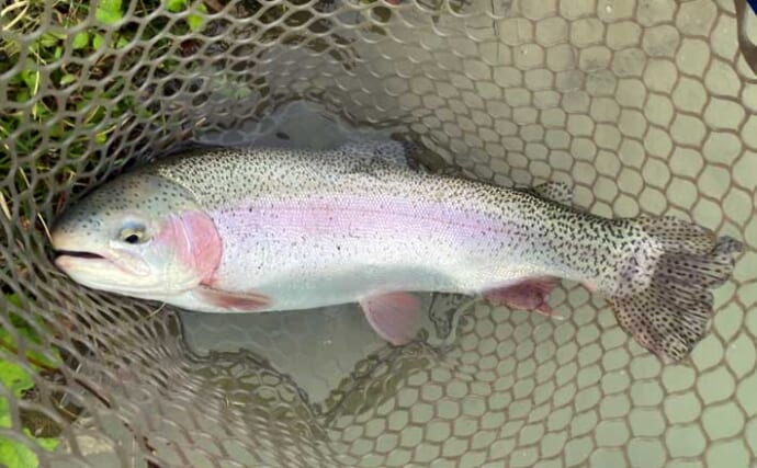 難関管理釣り場をフライフィッシングで攻略！『鹿島槍ガーデン』で55cm筆頭に良型トラウト30尾