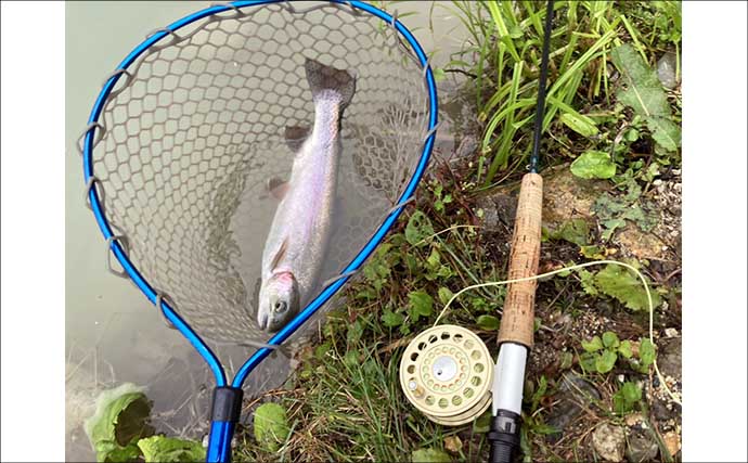 難関管理釣り場をフライフィッシングで攻略！『鹿島槍ガーデン』で55cm筆頭に良型トラウト30尾