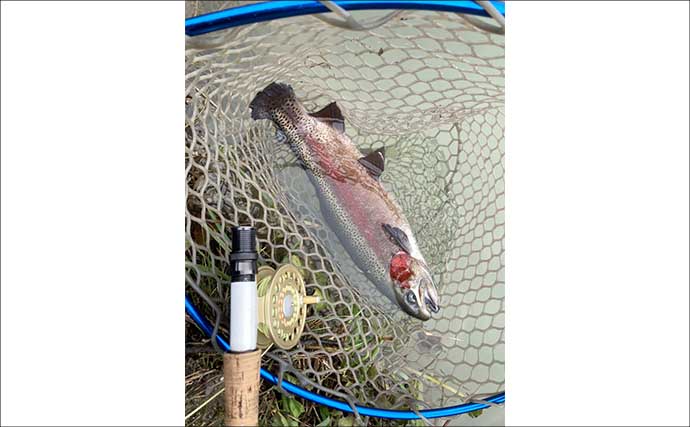 難関管理釣り場をフライフィッシングで攻略！『鹿島槍ガーデン』で55cm筆頭に良型トラウト30尾