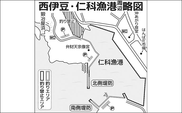 「思わぬ大物がヒット！」メジナ狙いのフカセ釣りで64.5cmのコロダイ降臨【西伊豆・仁科漁港】
