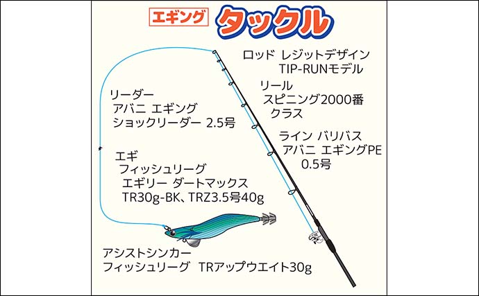 解禁直後の相模湾ティップランで良型アオリイカを次々キャッチ！【神奈川】強風攻略で釣果が急伸