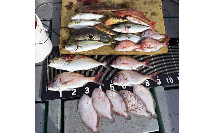 【沖のルアー釣果速報】鳥羽沖キャスティングで船中サワラ15匹！イナダも連発の青物祭り（三重）