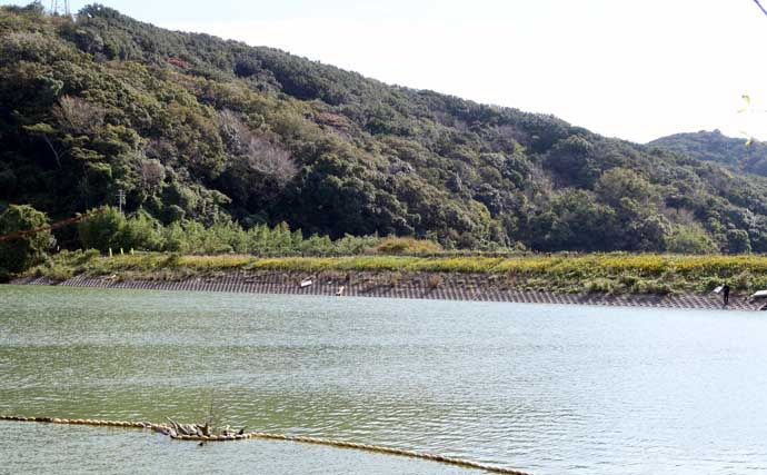 今週のヘラブナ推薦釣り場2025【静岡・西大谷池】
