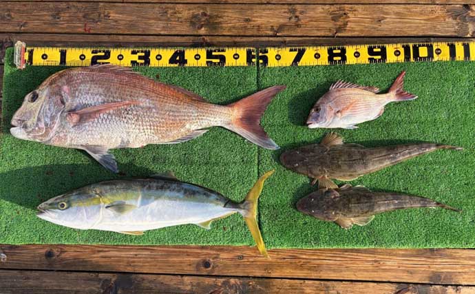 【沖のルアー釣果速報】伊勢湾沖キャスティングゲームで良型サワラ連発！（愛知）