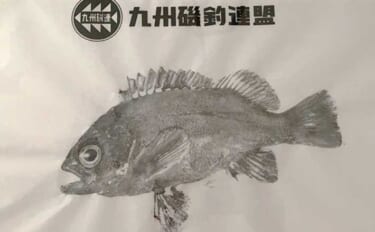 「魚拓といえば墨！」はもう古い？　デジタル魚拓のメリットとおすすめサー…