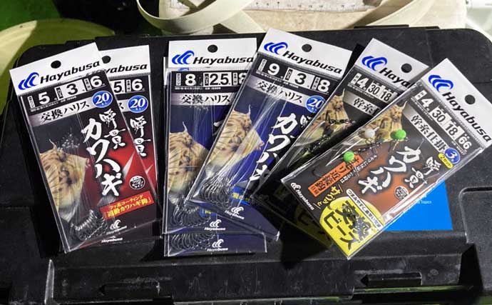 秋の船カワハギ釣りで本命と対面成功【愛知・おざき丸】ゼロテンション後の空アワセで連発