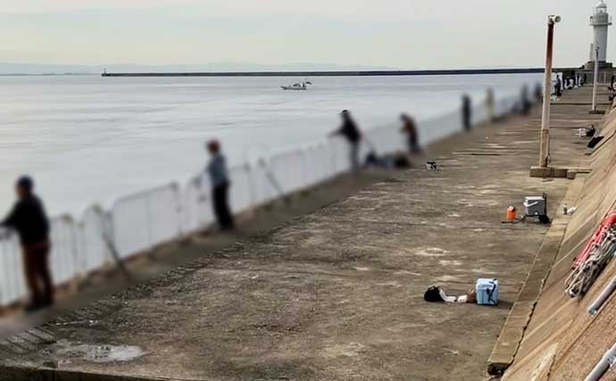 「テクニカルだからこそ面白い？」大阪南港魚つり園でのショアジギ釣行でサゴシのバラシ連発