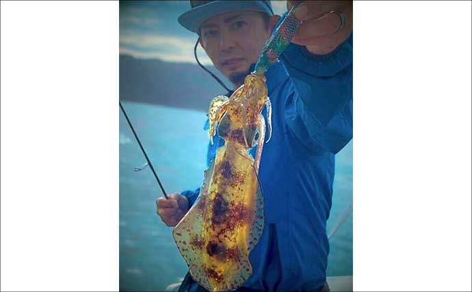 ティップランエギングでアオリイカ20杯と爆釣【新潟・琉神丸】ロングステイが決め手