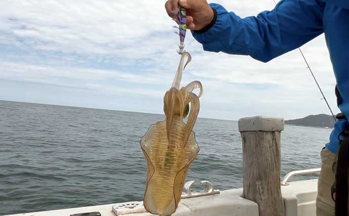 ティップランエギングでアオリイカ20杯と爆釣【新潟・琉神丸】ロングステイが決め手