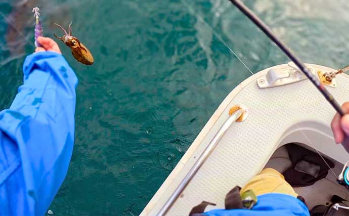 ティップランエギングでアオリイカ20杯と爆釣【新潟・琉神丸】ロングステイが決め手