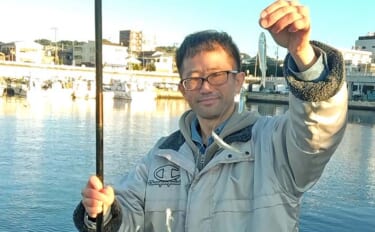 早川港のサビキ釣りでトウゴロウイワシ爆釣！【神奈川】朝イチ1時間で62…