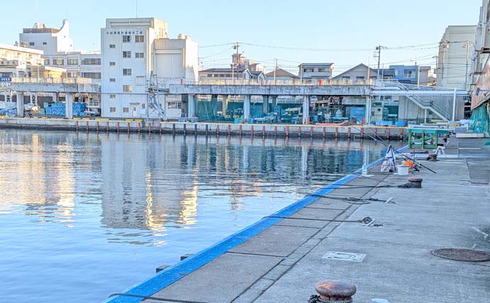 早川港のサビキ釣りでトウゴロウイワシ爆釣！【神奈川】朝イチ1時間で62尾を手中