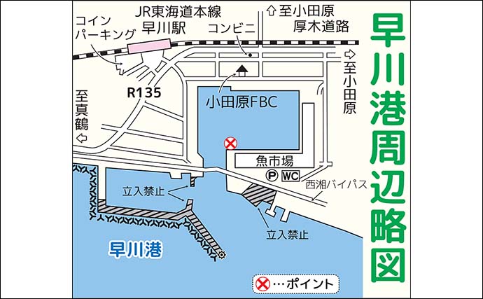 早川港のサビキ釣りでトウゴロウイワシ爆釣！【神奈川】朝イチ1時間で62尾を手中