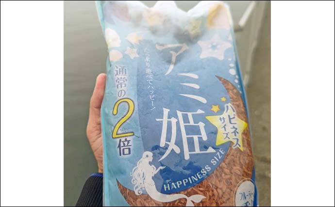 木更津港のサビキ釣りでラスト1時間にアジ回遊！【千葉】悪天候を耐えて本命4尾確保