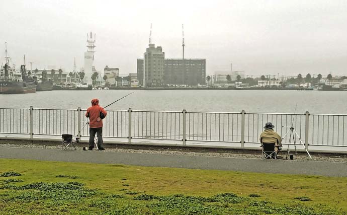 木更津港のサビキ釣りでラスト1時間にアジ回遊！【千葉】悪天候を耐えて本命4尾確保