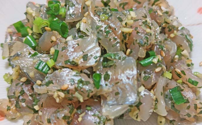 木更津港のサビキ釣りでラスト1時間にアジ回遊！【千葉】悪天候を耐えて本命4尾確保