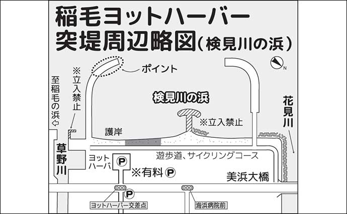 検見川浜突堤のサビキ釣りでカタクチイワシ100尾超え！【千葉】サッパやマイワシもヒット