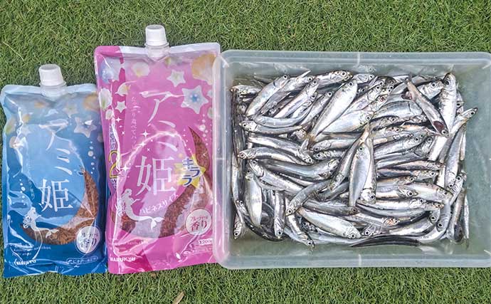 検見川浜突堤のサビキ釣りでカタクチイワシ100尾超え！【千葉】サッパやマイワシもヒット