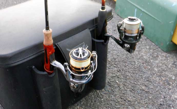 これから始めるアジング講座：失敗しないタックル・ライン・操作の基礎をやさしく解説