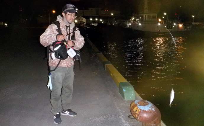 これから始めるアジング講座：失敗しないタックル・ライン・操作の基礎をやさしく解説