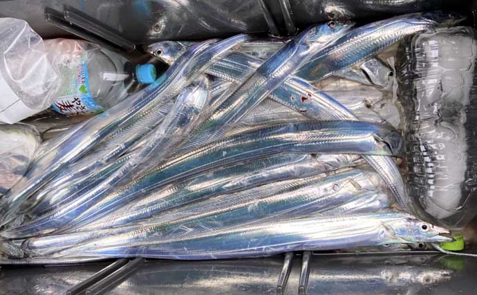 【沖のルアー釣果速報】志摩沖のトンジギで24.5kgタネトン降臨！（三重）