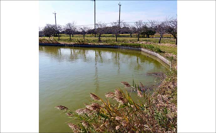 今週のヘラブナ推薦釣り場2025【千葉・宮島池】