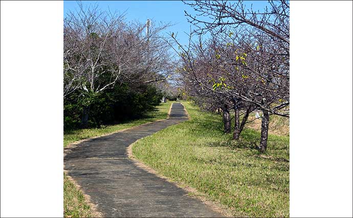 今週のヘラブナ推薦釣り場2025【千葉・宮島池】
