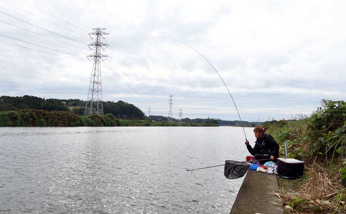 吉田康雄のザ・チャレンジへらぶな【川ベラでも狙ってみますか！#3】
