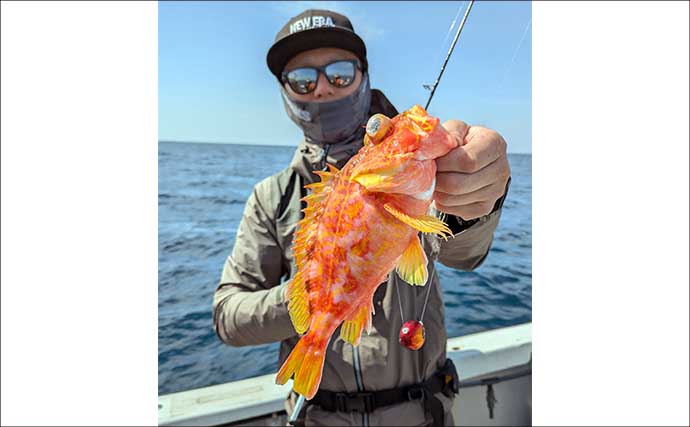 「これだけ覚えればOK！」秋タイラバ五目の攻め方・タックル選び・狙うレンジを詳しく解説