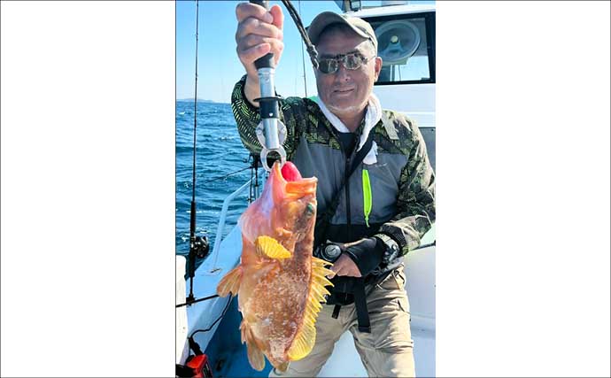 【沖釣り釣果速報】ヒラマサ8尾がズラリ！鷹島沖の落とし込み釣りで良型が揃い踏み（長崎・佐賀）